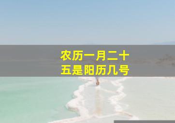 农历一月二十五是阳历几号