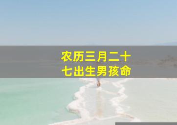 农历三月二十七出生男孩命