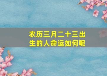 农历三月二十三出生的人命运如何呢