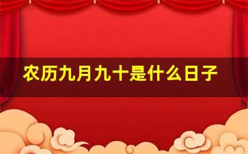 农历九月九十是什么日子