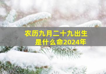 农历九月二十九出生是什么命2024年