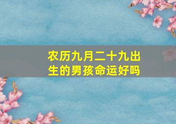 农历九月二十九出生的男孩命运好吗