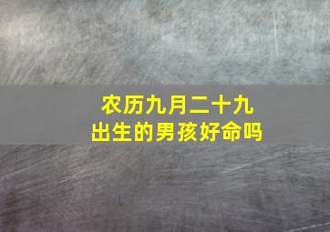 农历九月二十九出生的男孩好命吗