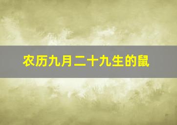 农历九月二十九生的鼠