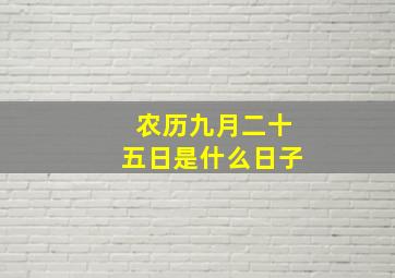 农历九月二十五日是什么日子