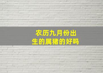 农历九月份出生的属猪的好吗