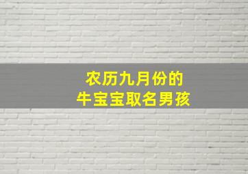 农历九月份的牛宝宝取名男孩