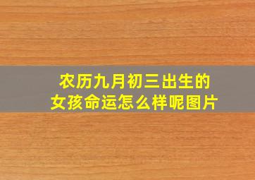 农历九月初三出生的女孩命运怎么样呢图片