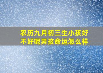 农历九月初三生小孩好不好呢男孩命运怎么样