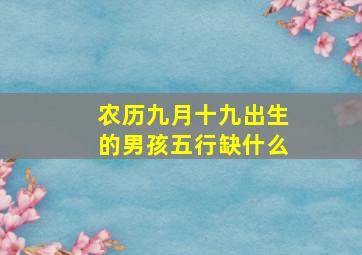 农历九月十九出生的男孩五行缺什么