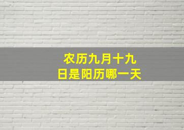 农历九月十九日是阳历哪一天