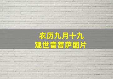 农历九月十九观世音菩萨图片