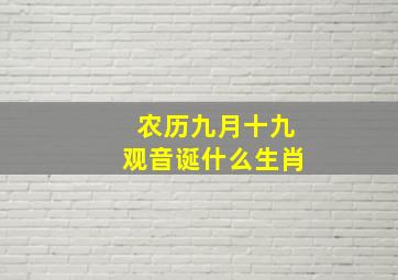 农历九月十九观音诞什么生肖