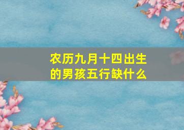 农历九月十四出生的男孩五行缺什么