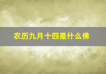 农历九月十四是什么佛