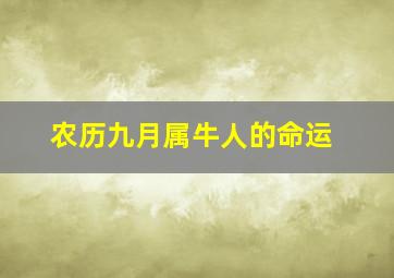 农历九月属牛人的命运