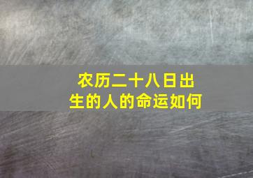 农历二十八日出生的人的命运如何