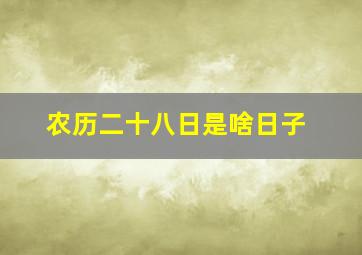 农历二十八日是啥日子