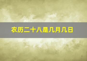 农历二十八是几月几日