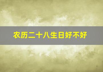 农历二十八生日好不好