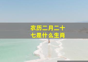 农历二月二十七是什么生肖