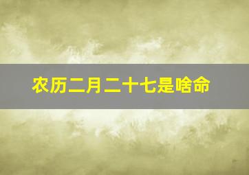 农历二月二十七是啥命