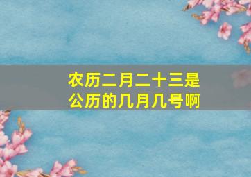 农历二月二十三是公历的几月几号啊