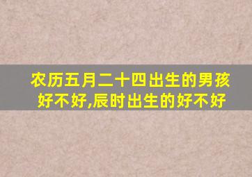 农历五月二十四出生的男孩好不好,辰时出生的好不好