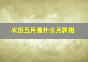 农历五月是什么月属相