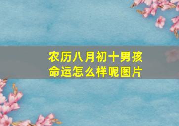 农历八月初十男孩命运怎么样呢图片