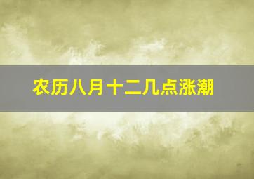 农历八月十二几点涨潮