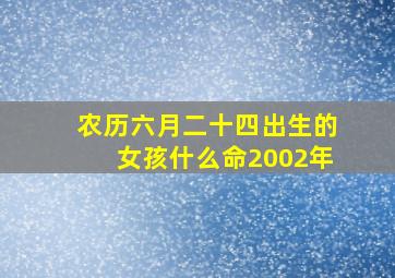 农历六月二十四出生的女孩什么命2002年