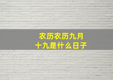 农历农历九月十九是什么日子