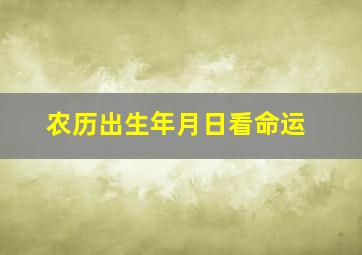 农历出生年月日看命运