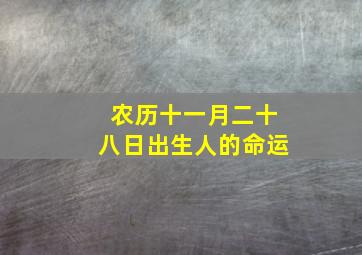 农历十一月二十八日出生人的命运