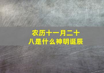 农历十一月二十八是什么神明诞辰