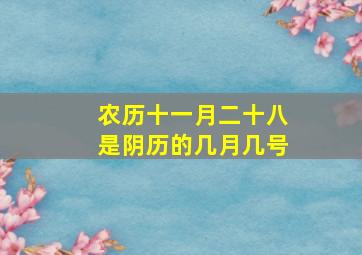 农历十一月二十八是阴历的几月几号