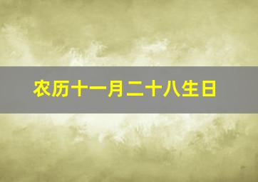 农历十一月二十八生日