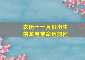 农历十一月份出生的龙宝宝命运如何