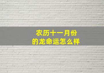 农历十一月份的龙命运怎么样