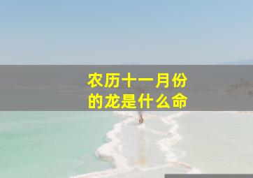 农历十一月份的龙是什么命