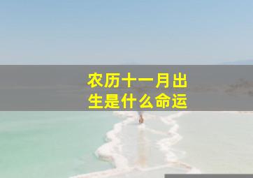 农历十一月出生是什么命运