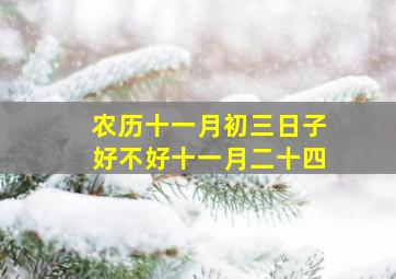 农历十一月初三日子好不好十一月二十四