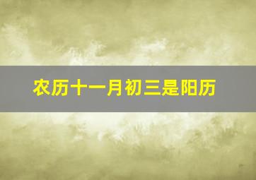 农历十一月初三是阳历