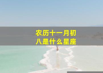 农历十一月初八是什么星座