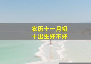 农历十一月初十出生好不好