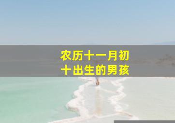 农历十一月初十出生的男孩