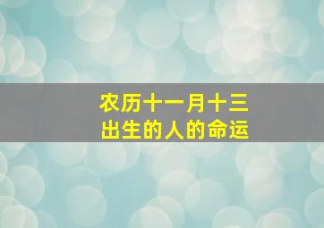 农历十一月十三出生的人的命运