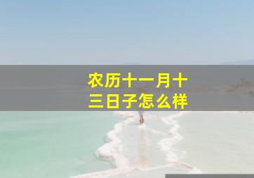 农历十一月十三日子怎么样