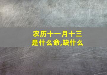 农历十一月十三是什么命,缺什么